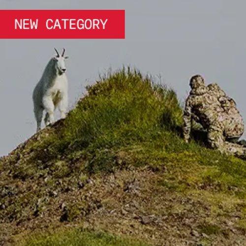 New Category 